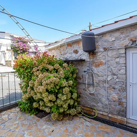 Апартаменты Branko *